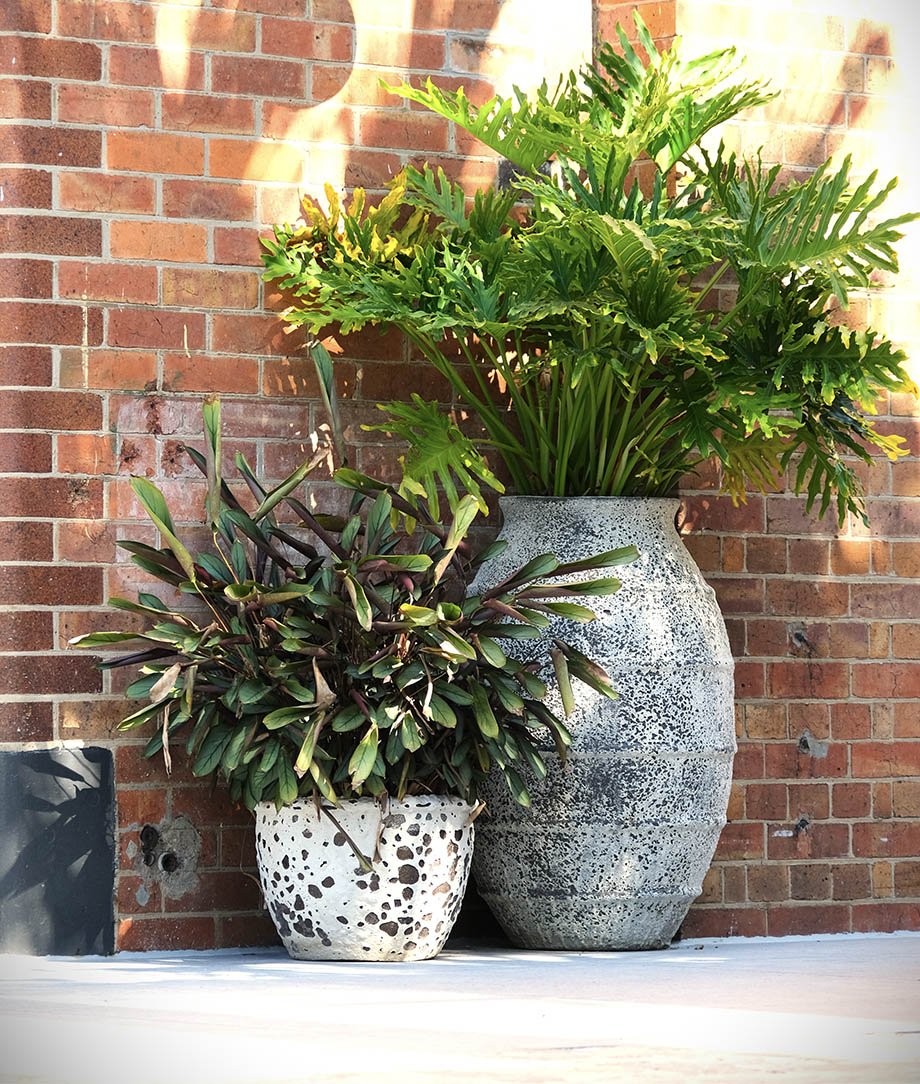Large Planters & Urns