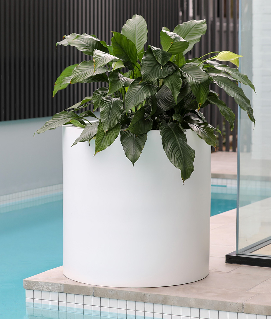 Outdoor Pots & Planters