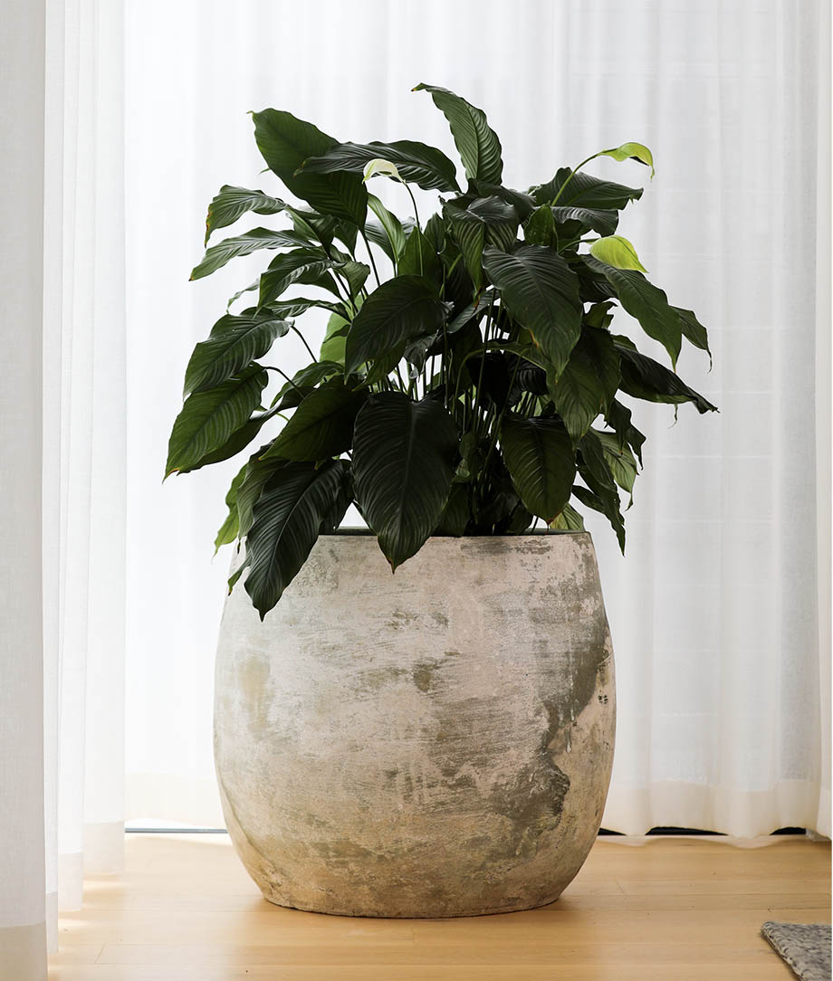Statement Planters & Urns