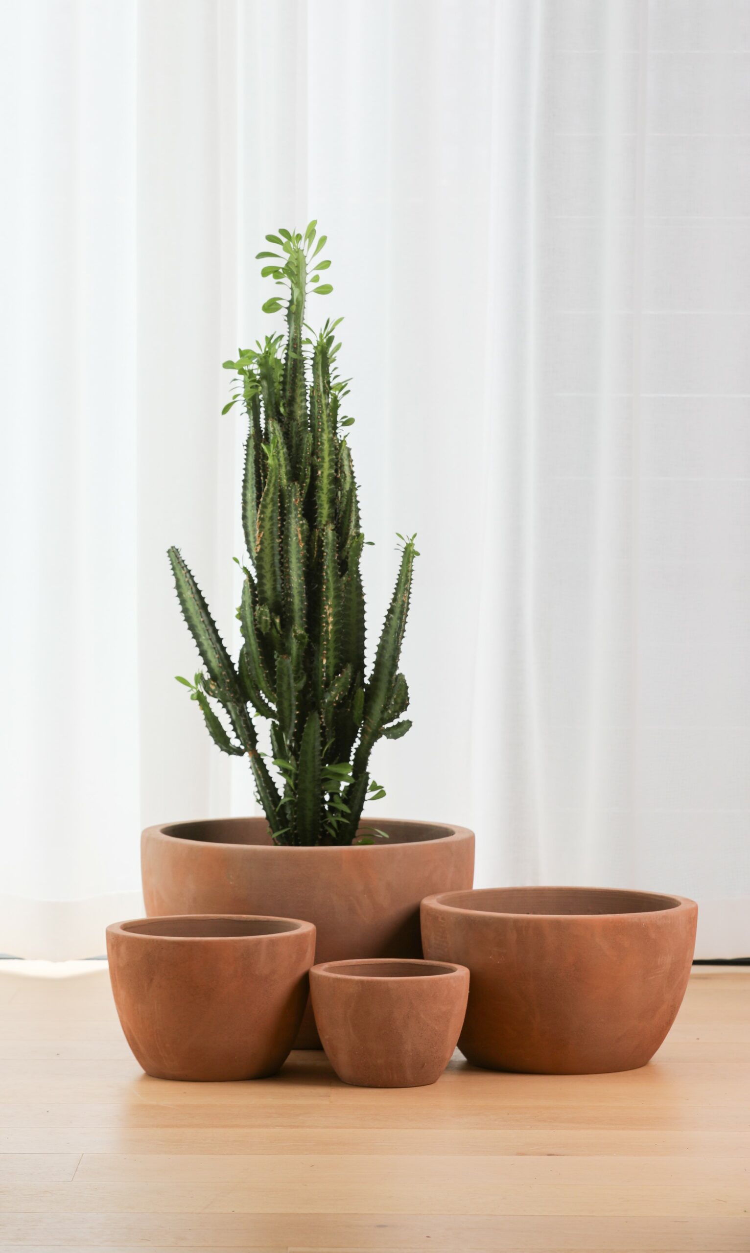 Indoor Pots and Planters