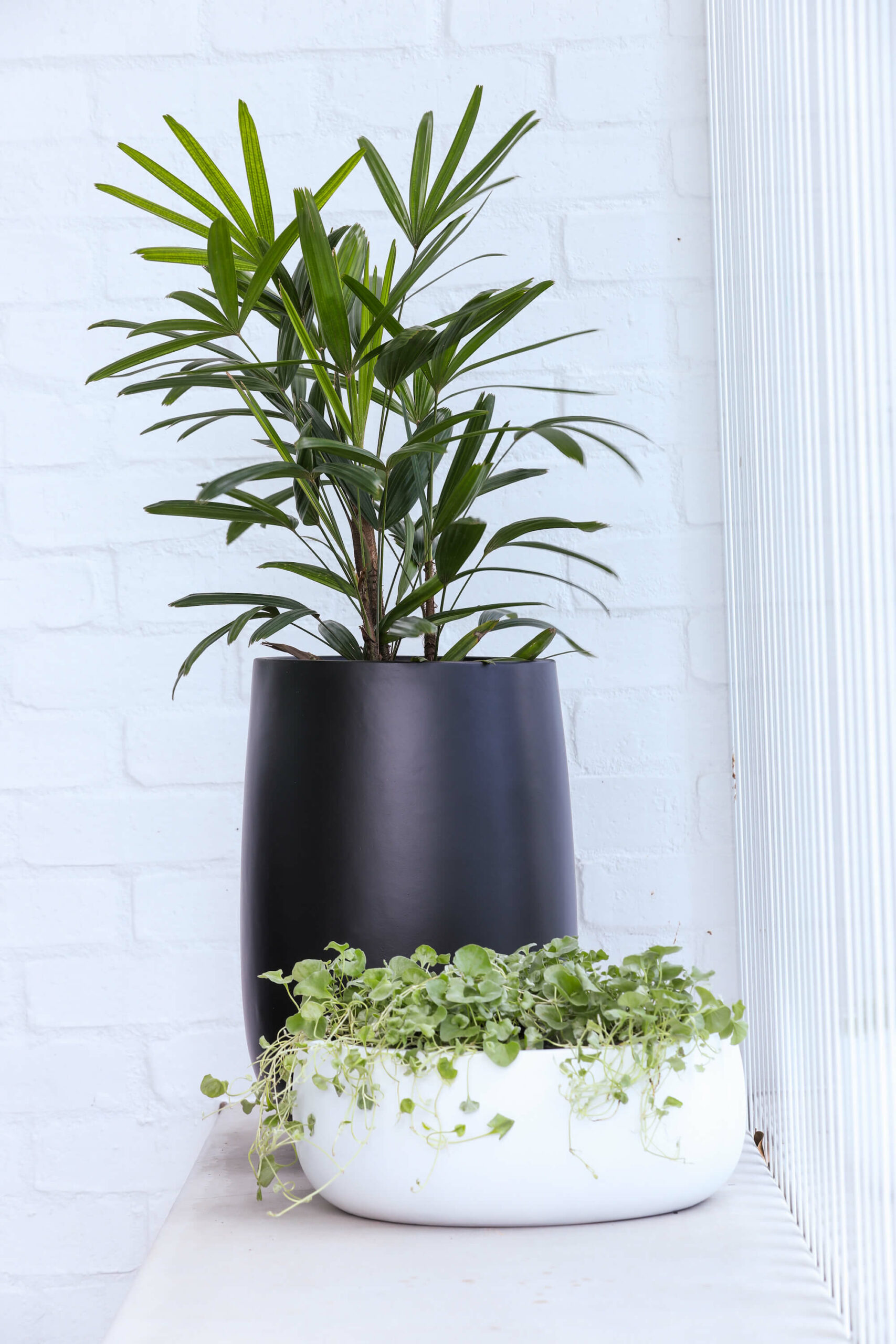 Lightweight Pots and Planters (1)